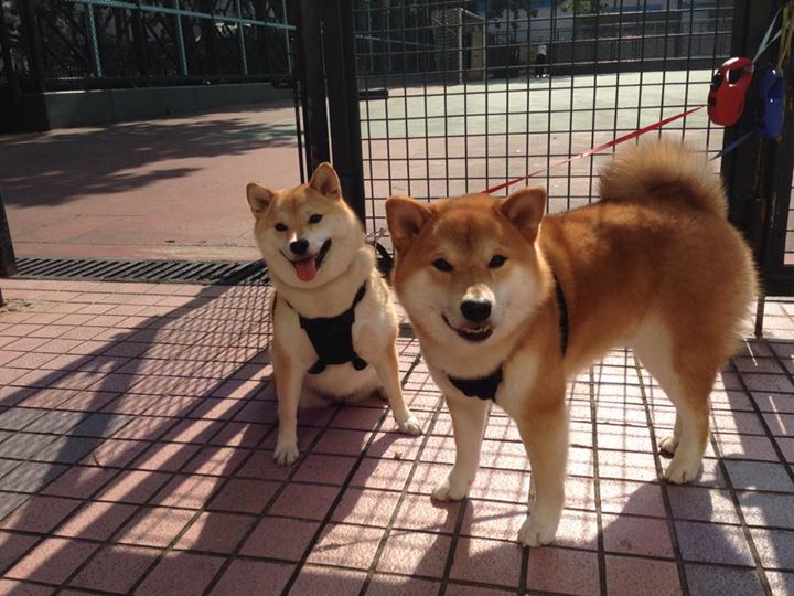 疾风骤雨,莫兰特以攻防转换核心引领,老鹰全面碾压尼克斯