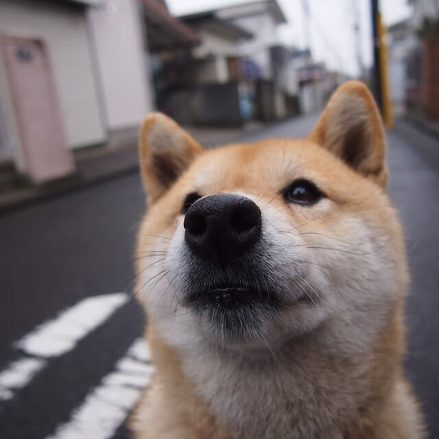鏖战四十八分钟，马克西终成关键先生